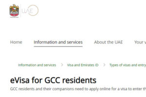 What is a GCC e-Visa in the UAE?